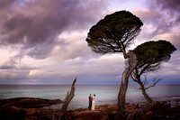 Carly & Tom Edit WEB