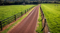 E&S_ROADS-50