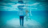 Trash the Dress
