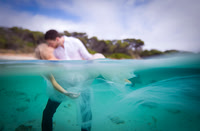 Trash the Dress