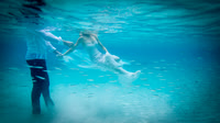 Trash the Dress