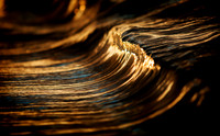 Mini Golden Wave - Quindalup