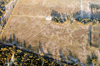 GINGKO 017