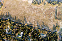 GINGKO 018