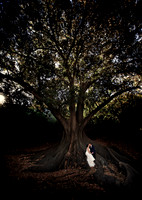 Pace Photography - Perth & Surrounds