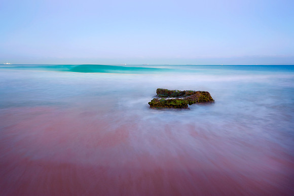 Cott Reef Large